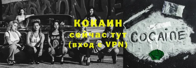 где можно купить   Дигора  hydra онион  Cocaine VHQ 